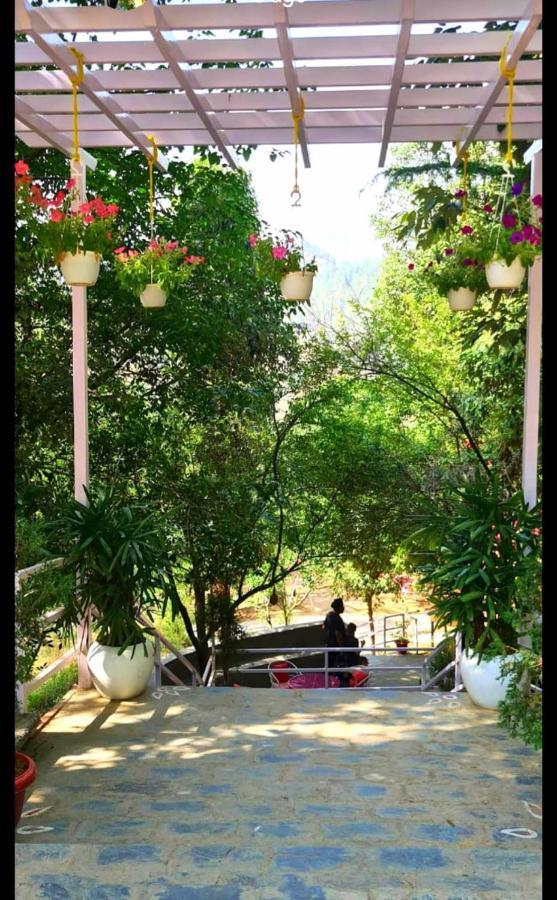 Aaroham Resort Shimla ! Luxury Cottage By Aamod Group Dış mekan fotoğraf