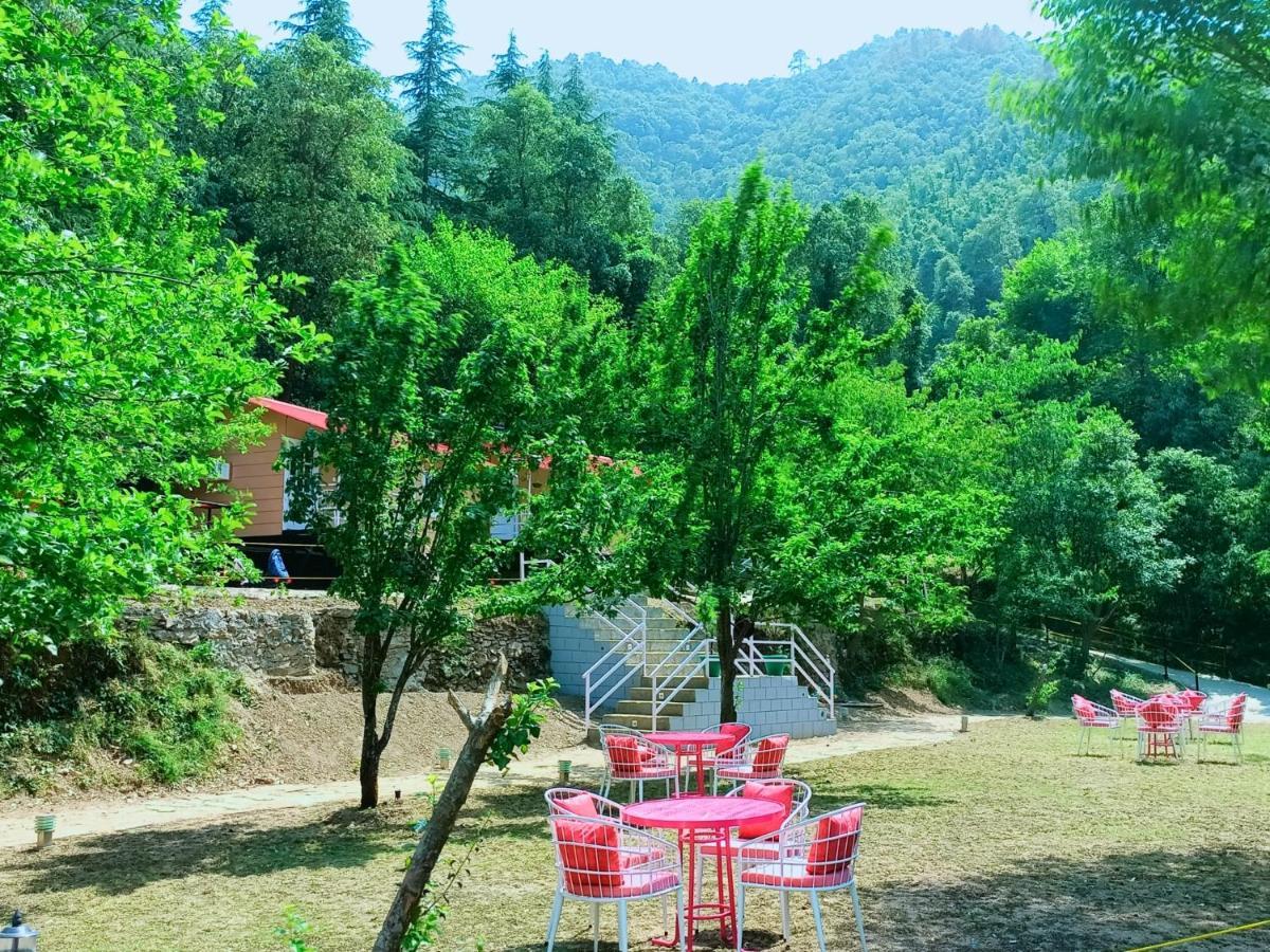 Aaroham Resort Shimla ! Luxury Cottage By Aamod Group Dış mekan fotoğraf
