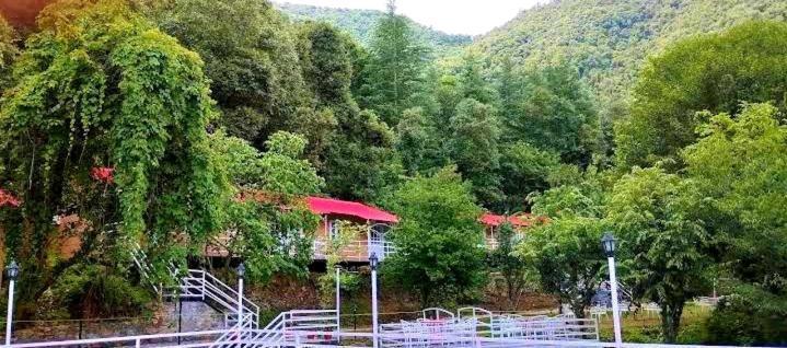Aaroham Resort Shimla ! Luxury Cottage By Aamod Group Dış mekan fotoğraf