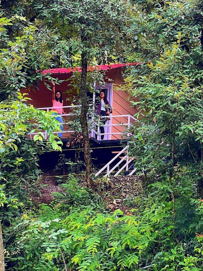 Aaroham Resort Shimla ! Luxury Cottage By Aamod Group Dış mekan fotoğraf