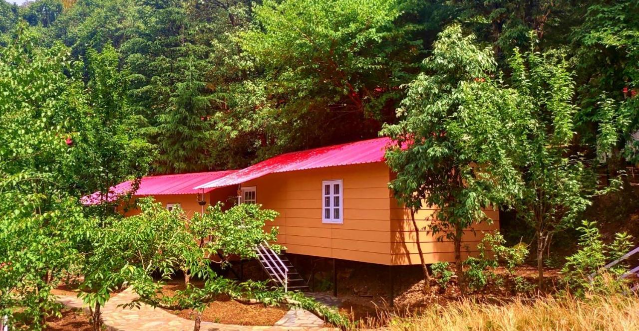 Aaroham Resort Shimla ! Luxury Cottage By Aamod Group Dış mekan fotoğraf