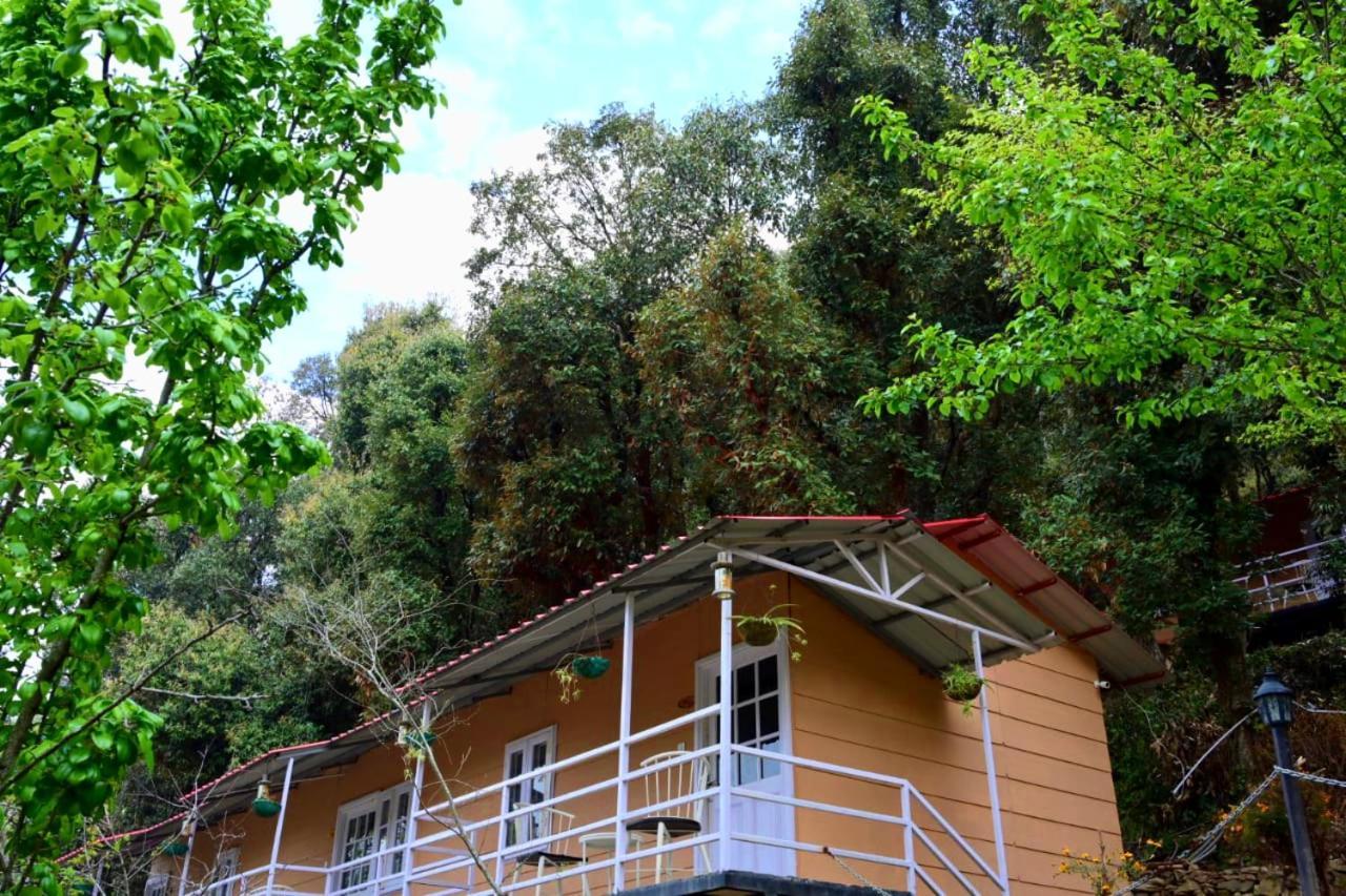 Aaroham Resort Shimla ! Luxury Cottage By Aamod Group Dış mekan fotoğraf